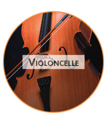 cours de violoncelle pour débutants et confirmés